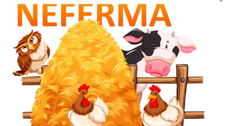 Neferma: Инвестиционный проект с ежедневным доходом