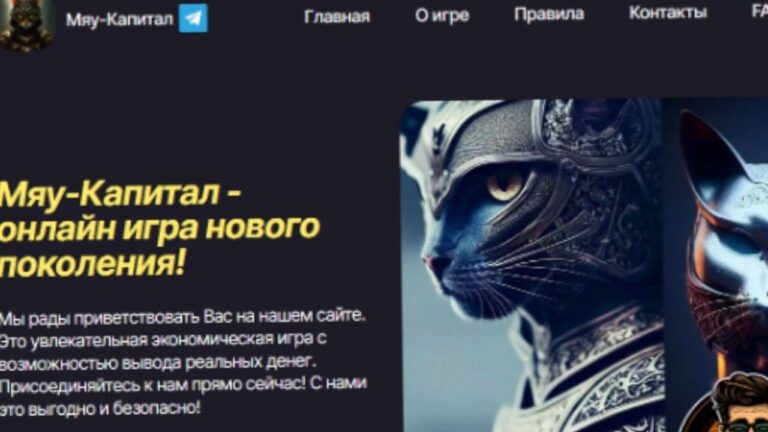 Meowcap: Новый Инвестиционный Проект с Высокой Доходностью