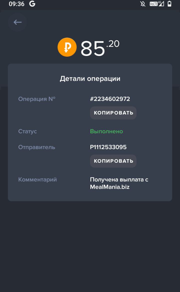 ЗАРАБОТОК В ИНТЕРНЕТ 2025