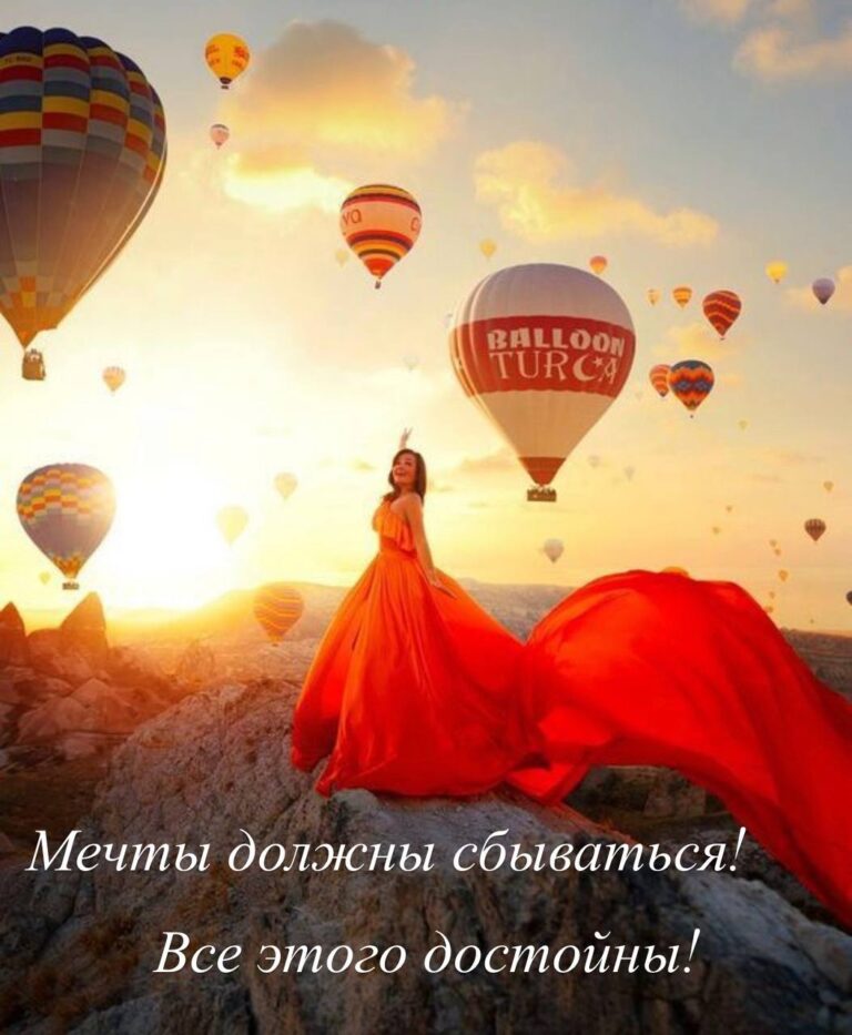 Dream Matrix: Первый вебинар от команды Акулы
