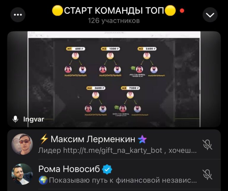 Продающие презентации команды Акул