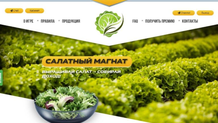 Инвестиционный проект Salmag: обзор, тарифы и условия