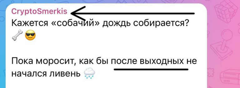Токены DOGS: как обменять билеты и получить выгоду