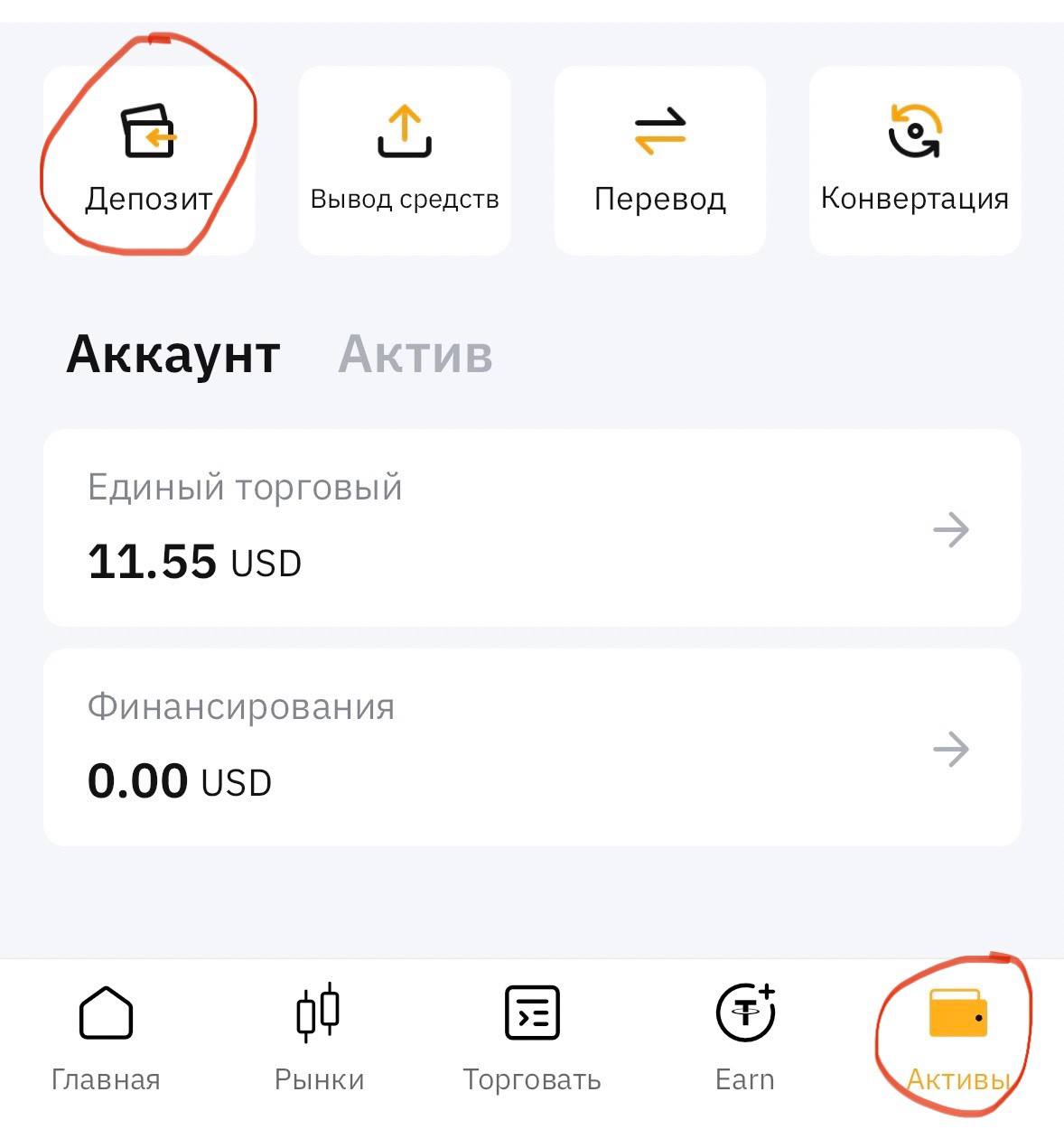 ЗАРАБОТОК В ИНТЕРНЕТ 2025
