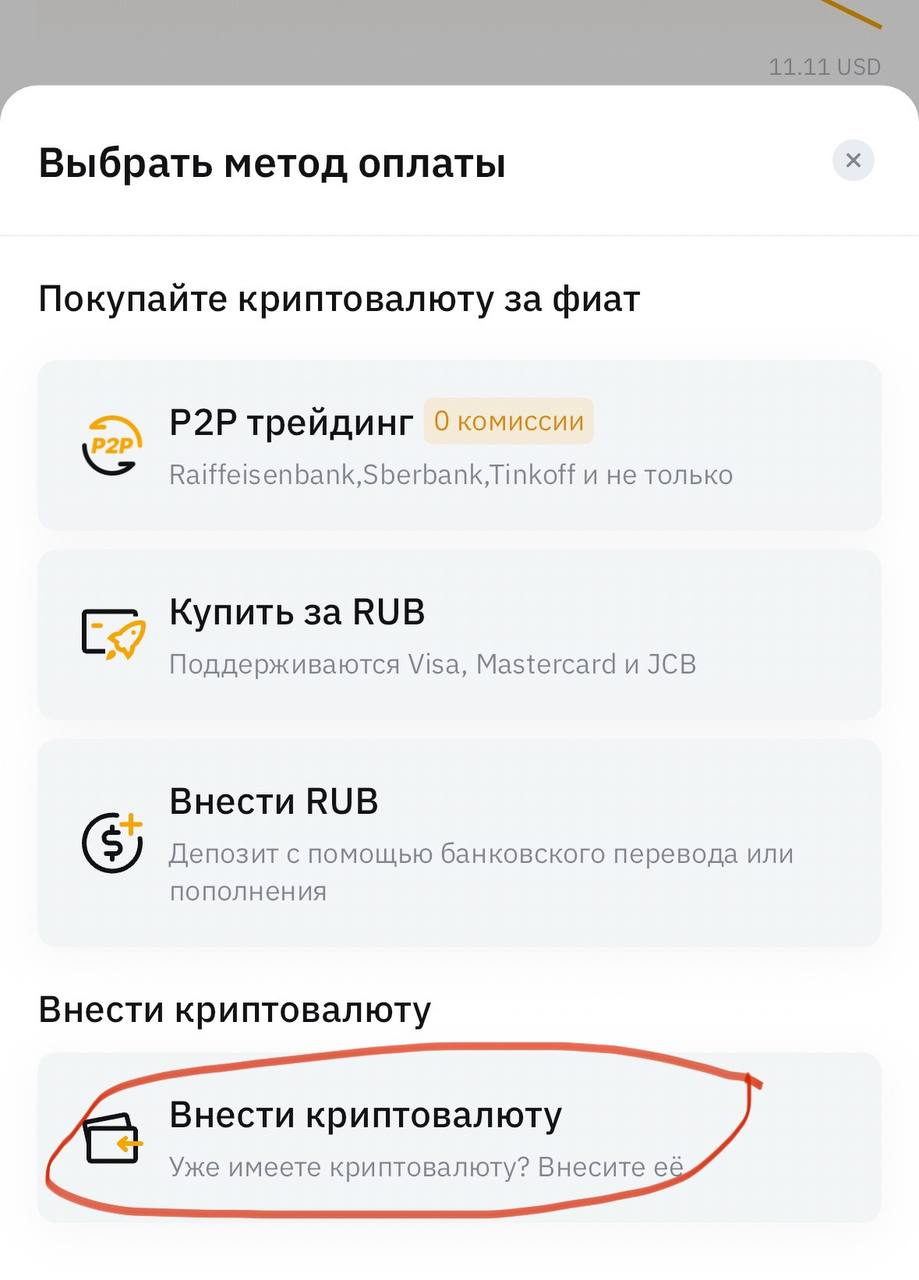 ЗАРАБОТОК В ИНТЕРНЕТ 2025