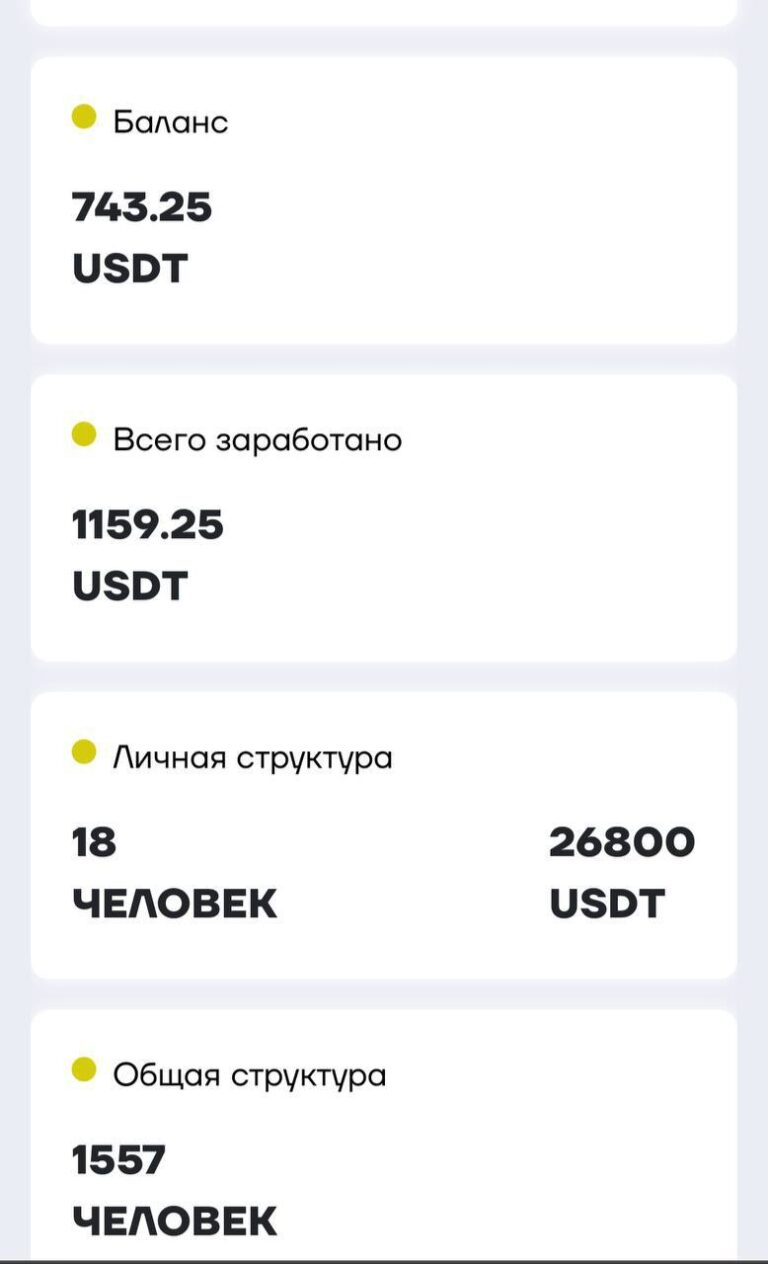Итоги запуска проекта: рост доходов и структуры