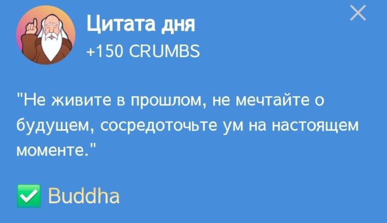 Ежедневное задание Hrum «Цитата дня» 26 ноября
