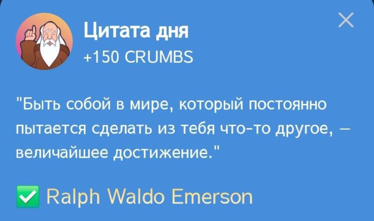 Hrum: Ежедневное задание «Цитата дня» от 5 декабря