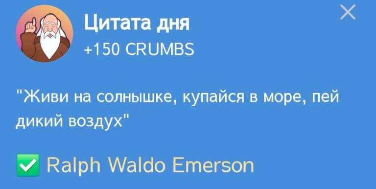 Ежедневное задание Hrum «Цитата дня» 13 декабря: Действуй, не бойся несовершенства