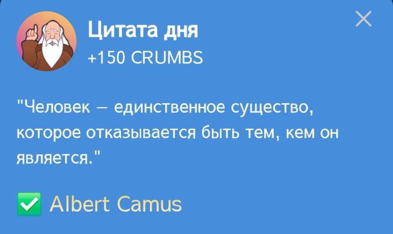 Hrum: Ежедневное задание «Цитата дня» от Альберта Камю 19 декабря