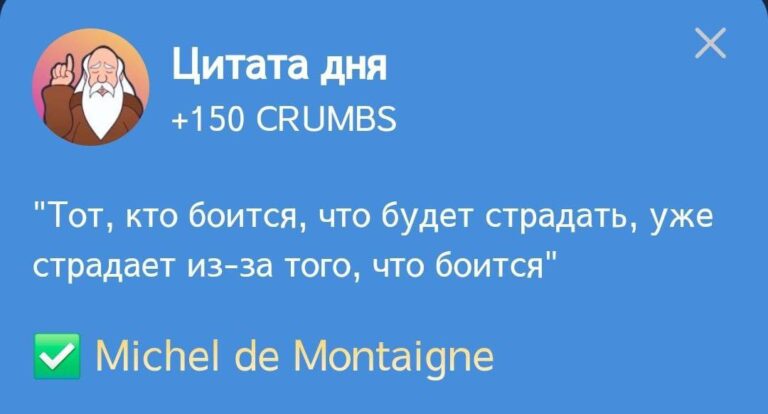 Ежедневное задание Hrum «Цитата дня» 27 декабря: Философия Монтеня и заработок криптовалюты