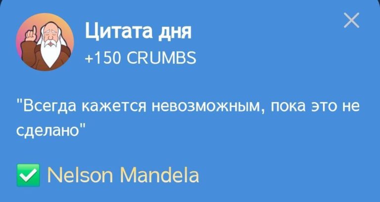 Ежедневное задание Hrum «Цитата дня» 28 декабря