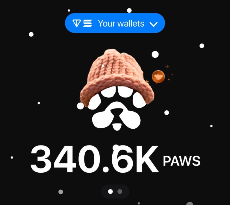 Снепшот PAWS: что нужно знать и как подготовиться