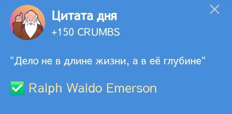 Ежедневное задание Hrum «Цитата дня» 04 января