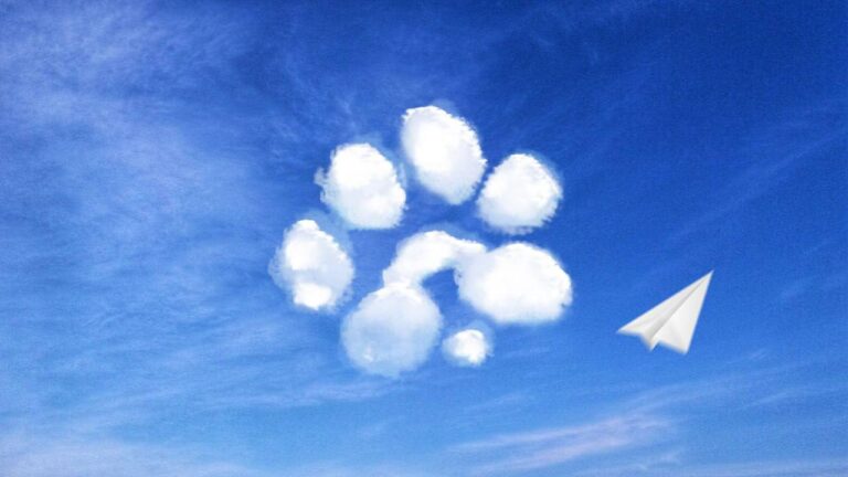 PAWS Mini: Приложение удалено из Telegram, прогресс сохранен на paws.community