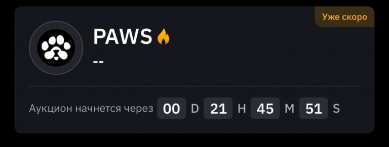 PAWS премаркет на ByBit: Возможность заработка до листинга