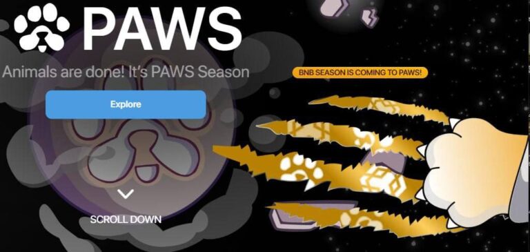 PAWS BNB Сезон: Токены на Биржах и Новые Возможности