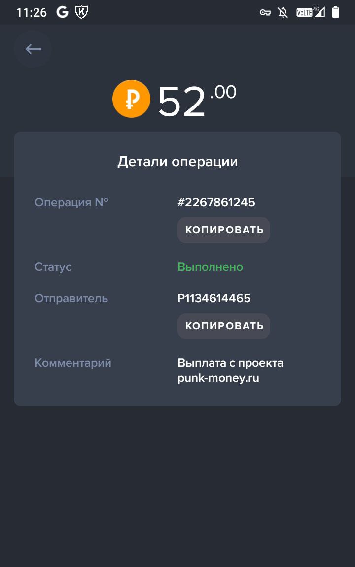 Инвестиционный проект Punk Money: обзор, выплаты и тарифы
